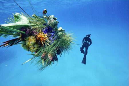 Diver. El arte floral de Azuma Makoto | diver azuma_makoto roomdiseno