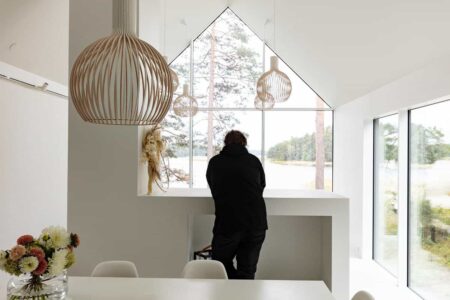 casa de madera. estilo nórdico | dogs doctors house roomdiseno11