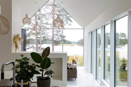 casa de madera. estilo nórdico | dogs doctors house roomdiseno13