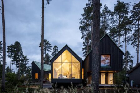 casa de madera. estilo nórdico | dogs doctors house roomdiseno18