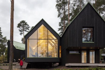 casa de madera. estilo nórdico | dogs doctors house roomdiseno19