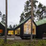 casa de madera. estilo nórdico | dogs doctors house roomdiseno2