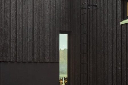 casa de madera. estilo nórdico | dogs doctors house roomdiseno20