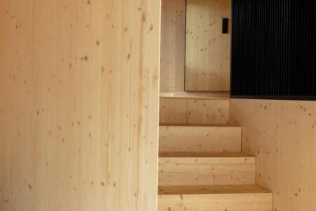 casa de madera. estilo nórdico | dogs doctors house roomdiseno3