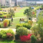 ENS Lyon. Gilles Clément. Paisajista francés. El jardín en movimiento | ens_lyon gilles_clement roomdiseno2
