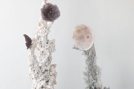 Epimorph Lamp. Elissa Lacoste. Side Gallery | epimorph_lamp_black_poppy_2low