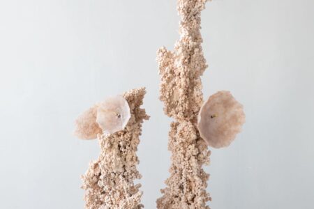 Epimorph Lamp Rose. Elissa Lacoste. Side Gallery | epimorph_lamp_rose_calcite_1low