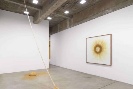 Ernesto Neto. arte inmersivo | ernesto10