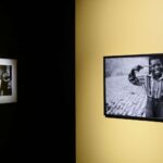 Elliott Erwitt. Museo Maillol | erwitt2