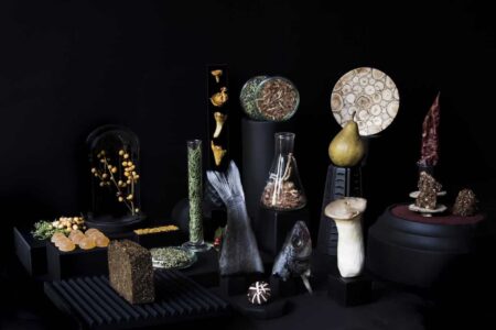 Food Design, Studio Appétit | estonian exploration_by studioappetit 1