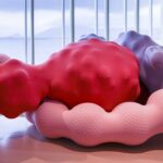 Centro Botín Enredos, Eva Fàbregas, Fundación Botín, Santander | eva fabregas7