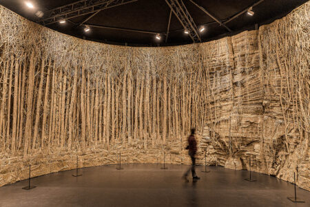 Panorama. Eva Jospin. Arte y naturaleza | eva_jospin flufoto roomdiseno3