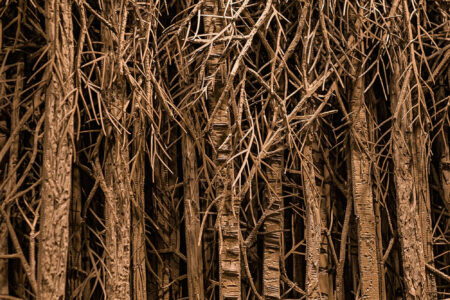 Panorama. Eva Jospin. Arte y naturaleza | eva_jospin flufoto roomdiseno4