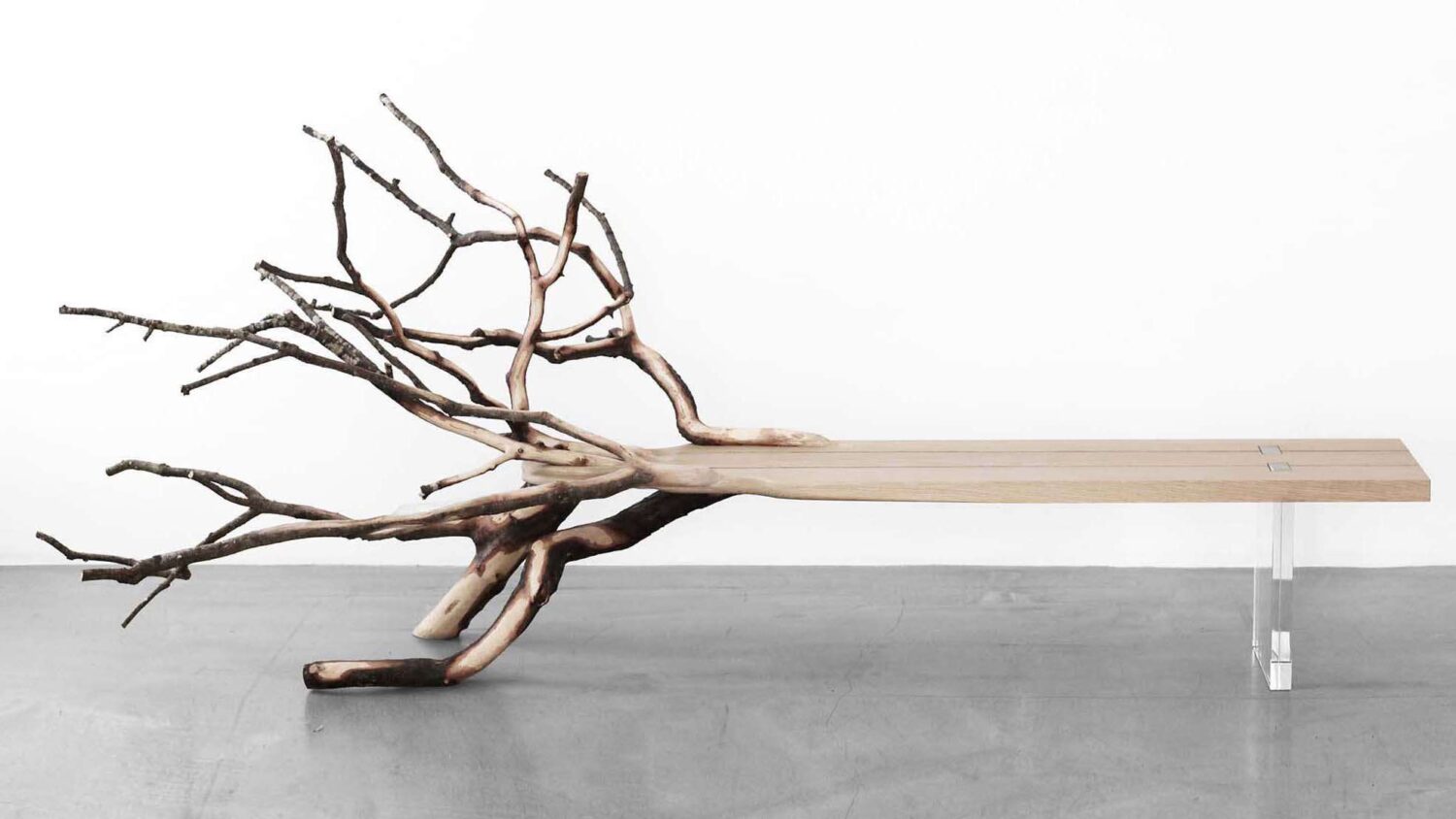 Fallen Tree. YMER&MALTA/Benjamin Graindorge.. Mimèsis. Exposición de diseño biofílico. Centro Pompidou-Metz | fallentree 05 morning mist photo 01 hd 2