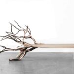 Fallentree. Ymer&Malta. Arte y naturaleza | fallentree 05 morning mist photo 01 hd trazado