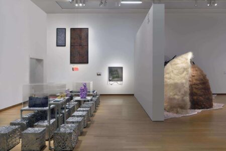 Stedelijk Museum. crisis climática | fing backyard1