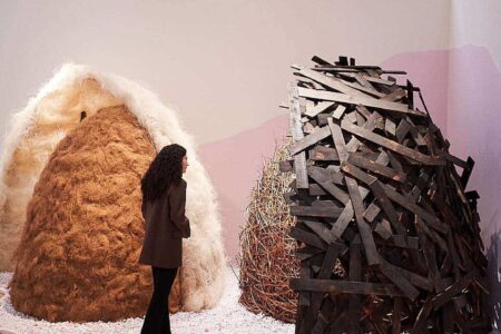 Stedelijk Museum. crisis climática | fing backyard20