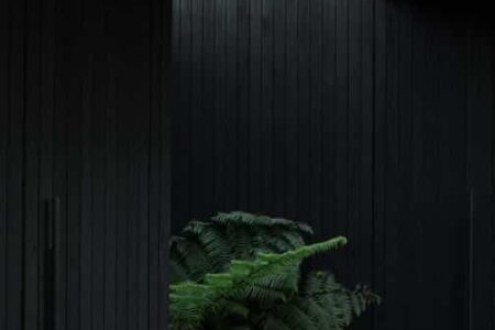 Casa negra. Byron Bay | federal house10
