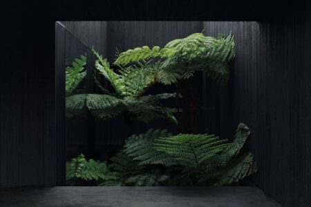 Casa negra. Byron Bay | federal house6