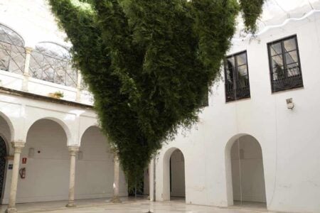 Festival Flora 2018. Arte floral | festival_flora edu_nave roomdiseno7