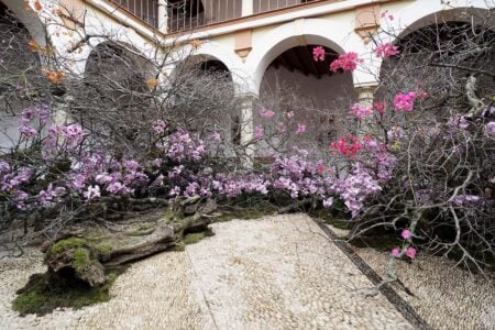 Festival Flora 2019. Arte floral | festival_flora edu_nave roomdiseno8