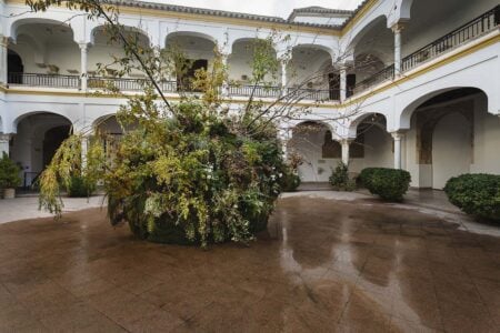 Festival Flora 2018. Foto: José Rojas | festival_flora jose_rojas roomdiseno