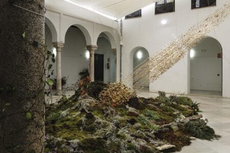 Festival Flora 2017. Foto: José Rojas | festival_flora jose_rojas roomdiseno3