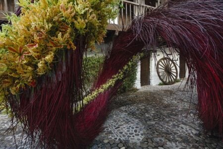 Festival Flora 2018. Foto: José Rojas | festival_flora jose_rojas roomdiseno5
