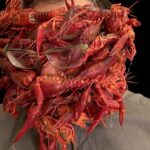Arcimboldo. food design. Filippos Tsitsopoulos | filippos tsitsopoulos