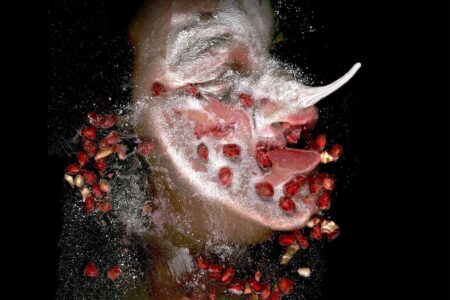 Arcimboldo. food design. Filippos Tsitsopoulos | filippos tsitsopoulos13