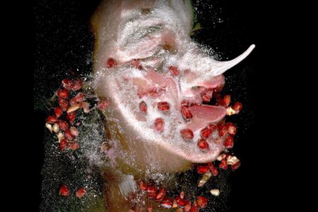 Arcimboldo. food design. Filippos Tsitsopoulos | filippos tsitsopoulos16