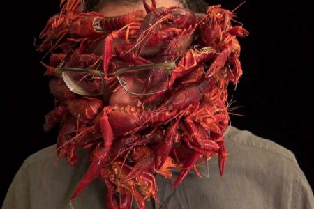 Arcimboldo. food design. Filippos Tsitsopoulos | filippos tsitsopoulos21