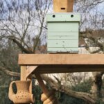 Firesong for the bees, a tree of clay. Mariana Castillo Deball. Trienal de Brujas 2024. Foto: © Filip Dujardin