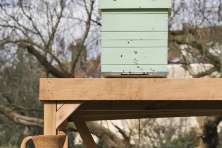 Firesong for the bees, a tree of clay. Mariana Castillo Deball. Trienal de Brujas 2024. Foto: © Filip Dujardin