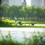 Turescape, muralla china, Fish Tail Park, bosque flotante | fish tail park copia