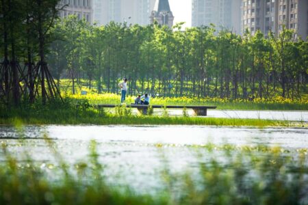 Turescape, muralla china, Fish Tail Park, bosque flotante | fish tail park copia