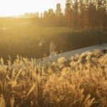Turescape, muralla china, Fish Tail Park, bosque flotante | fish tail park1 copia