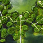 Turescape, Fish Tail Park, bosque flotante | fish tail park10 copia