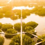 Turescape, Fish Tail Park, bosque flotante | fish tail park11 copia