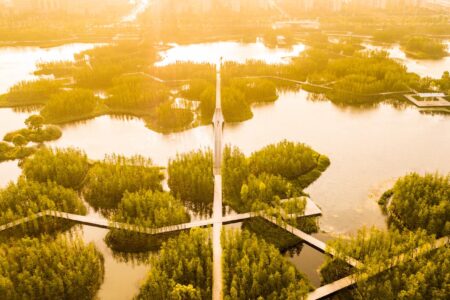 Turescape, Fish Tail Park, bosque flotante | fish tail park11 copia