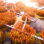 Turescape, Fish Tail Park, bosque flotante | fish tail park12 copia