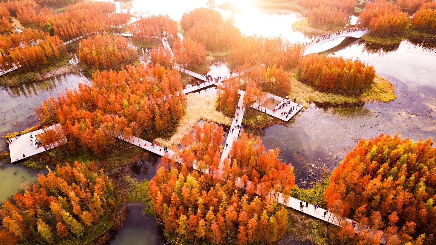 Turescape, Fish Tail Park, bosque flotante | fish tail park12 copia