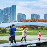 Turescape, Fish Tail Park, bosque flotante | fish tail park13 copia