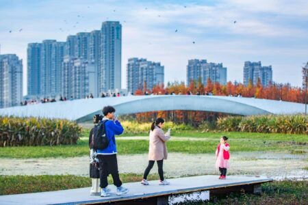 Turescape, Fish Tail Park, bosque flotante | fish tail park13 copia