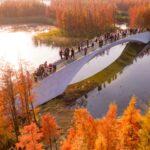 Turescape, Fish Tail Park, bosque flotante | fish tail park14 copia
