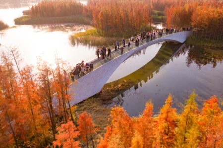 Turescape, Fish Tail Park, bosque flotante | fish tail park14 copia