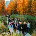 Turescape, Fish Tail Park, bosque flotante | fish tail park16 copia