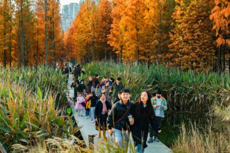 Turescape, Fish Tail Park, bosque flotante | fish tail park16 copia