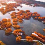 Turescape, Fish Tail Park, bosque flotante | fish tail park18 copia