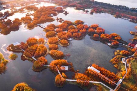 Turescape, Fish Tail Park, bosque flotante | fish tail park18 copia